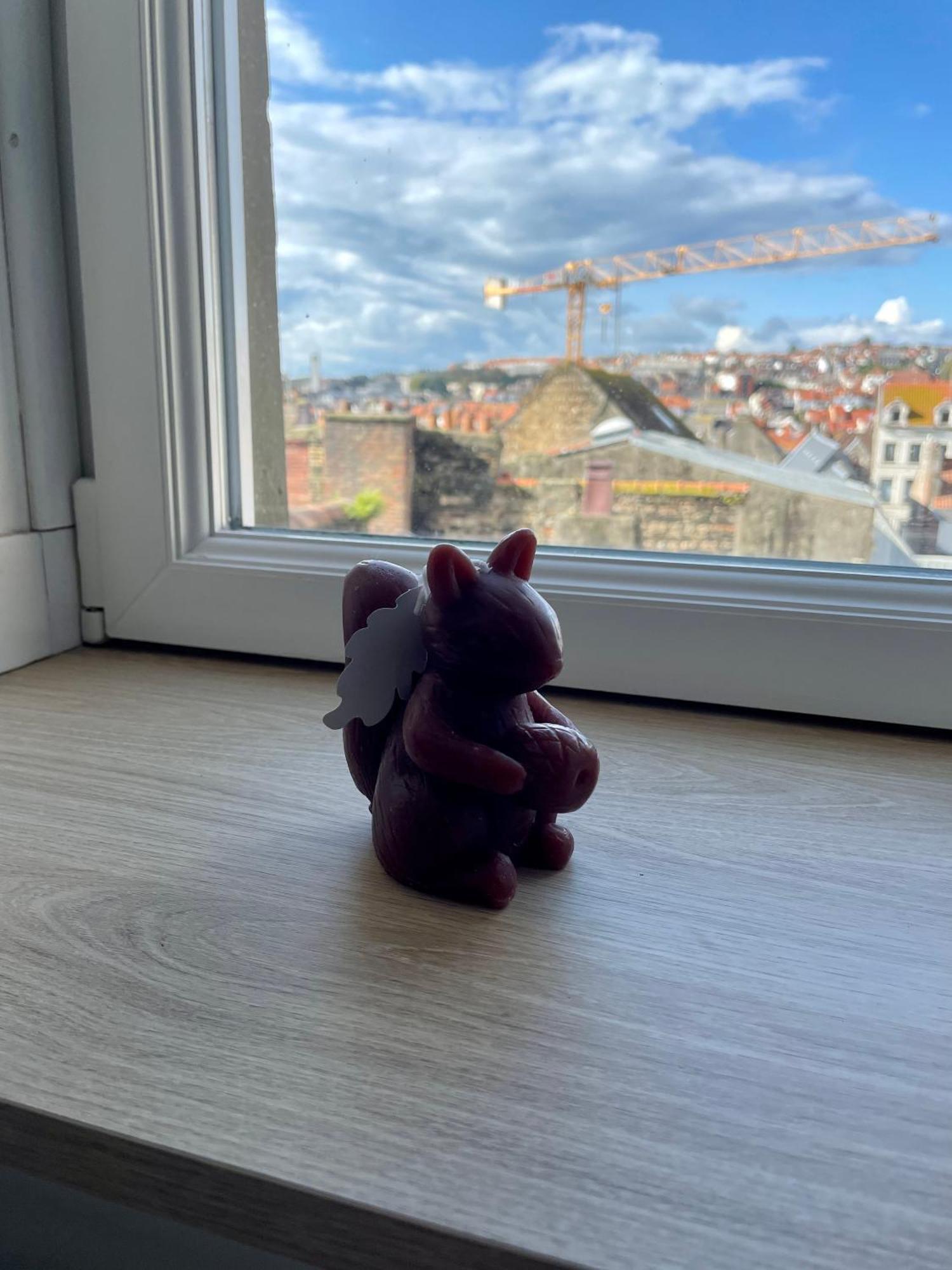 Appartement L'Opale D'Anae 滨海布洛涅 外观 照片